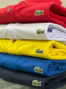 KIT 5 Camisas Polo LACOSTE