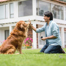 Adestrador de Cães Anti-Latido Ultrassônico PetShow - Lojas Baluga